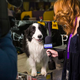 Who's a good boy? (Photo: Andrew Burton / Getty Images)